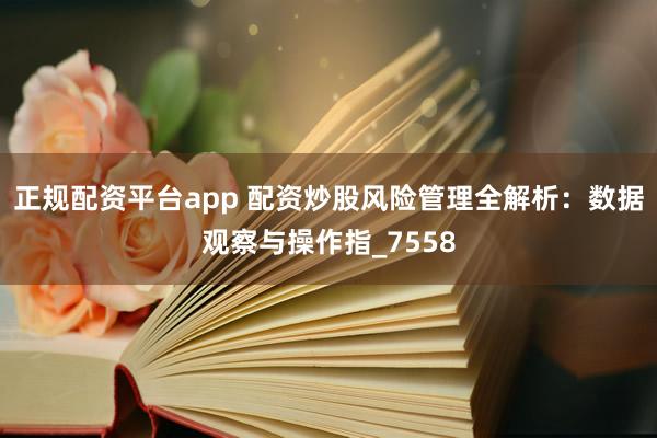 正规配资平台app 配资炒股风险管理全解析：数据观察与操作指_7558