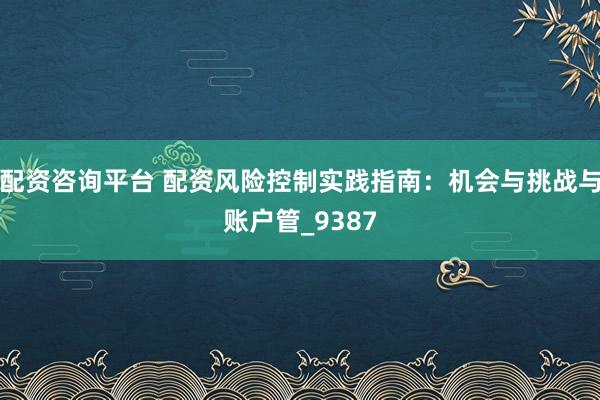 配资咨询平台 配资风险控制实践指南：机会与挑战与账户管_9387