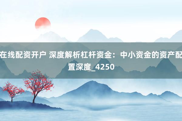 在线配资开户 深度解析杠杆资金：中小资金的资产配置深度_4250